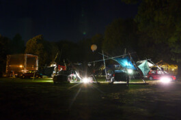 Natur am Bau-Sabrina Richmann-Fotografie Sabrina_Richmann_Fotografie