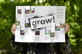 Natur am Bau-Sabrina Richmann-Fotografie Sabrina_Richmann_Fotografie